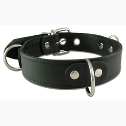 Wild Hide Leather: WILD - COLLAR - Bondage Collar Large - 324-2